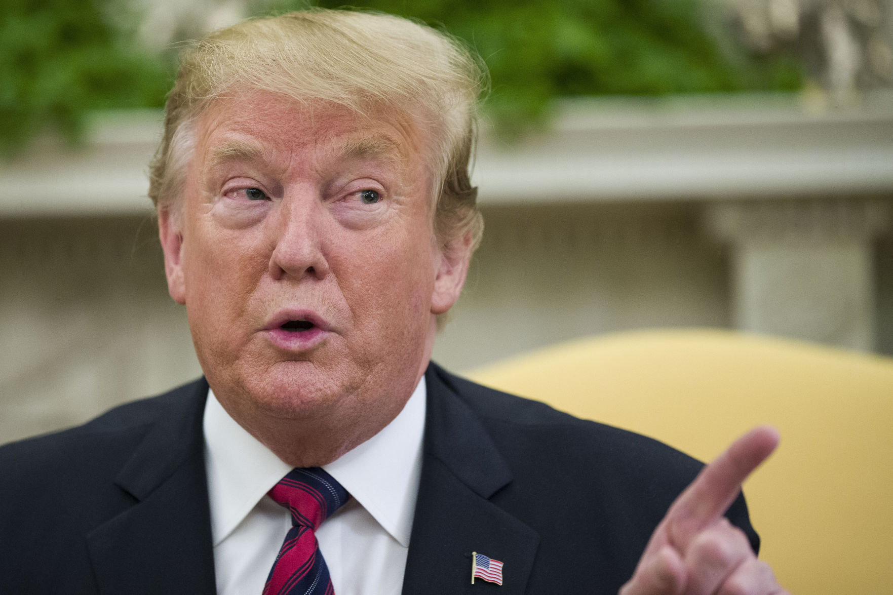 Fact Check Week